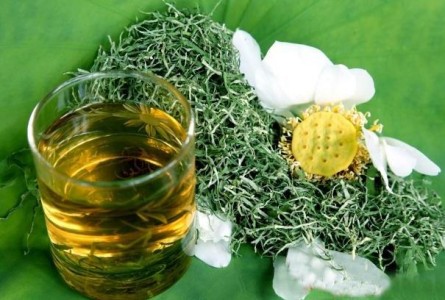 Chữa gan nhiễm mỡ cực tốt bằng lá sen bài thuốc ít người biết đến