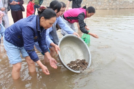Lễ khai pháp, chúc thọ, tạ đàn Dược Sư tại chùa Hòa Phúc