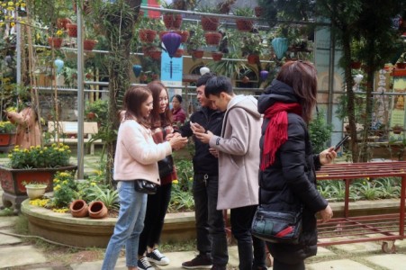 Tết bình yên bên ô cửa Thiền