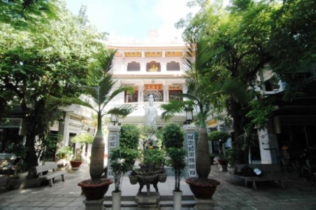 Đầu xuân vãn cảnh ngôi chùa cổ có cây 'lão mai' cao 12m