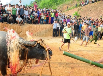 Dân làng kiệt quệ, làm ăn thất bát vì lễ đâm trâu tế thần linh