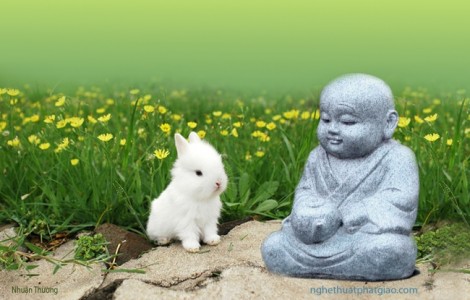 Giữ đúng mình khi bị đối xử sai 