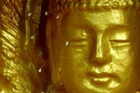 Hoa Ưu Đàm sự lừa đảo của tà đạo Pháp Luân Công (phần 2)