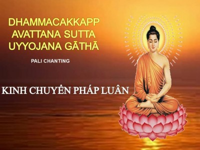 Kinh Chuyển Pháp Luân - Dhammcakkappavattana sutta