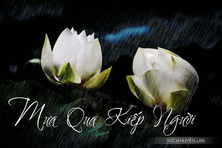 Mưa qua kiếp người