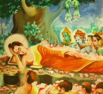 Ngàn năm Sa la xào xạc thầm thì  