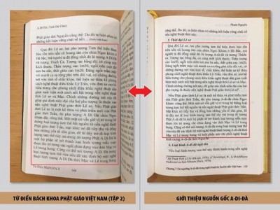 Phước Nguyên đã 'chun qua lỗ khóa', đạo văn ra sao?