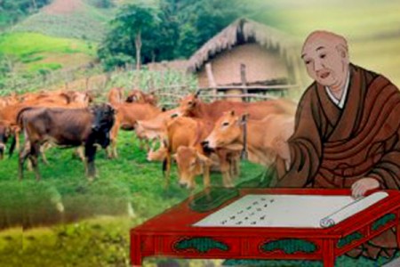 Tiếng vọng đầu non