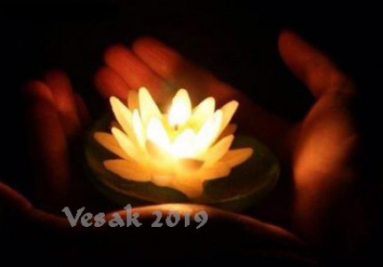 Vesak tỏa sáng ánh Từ Quang tới mọi miền trắc ẩn