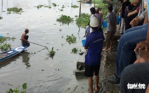 Chùa Diệu Pháp cầu cứu vì chịu hết nổi đội quân bán chim cá phóng sinh
