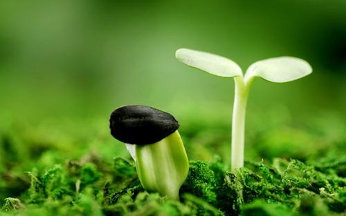 Nhân duyên nghiệp báo xảy ra do đời trước hay đời này gây tạo ?