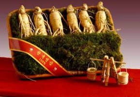 Nhận dạng Nhân sâm thật - giả