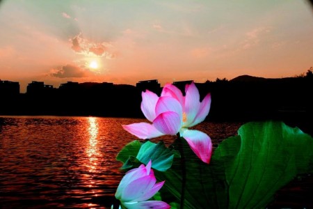 Những biểu hiện của người nội tâm có tu tập