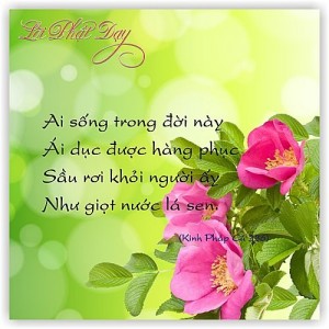 Những lời dạy cao thượng