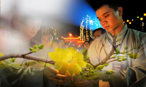 Niềm vui chân thật của người học Phật trong ngày xuân