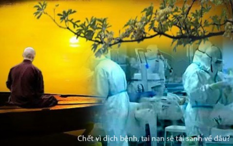 Nếu chết vì dịch bệnh, tai nạn sẽ tái sanh về đâu?