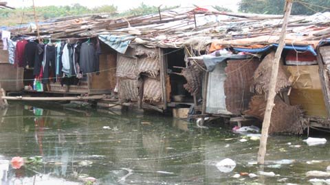 Giấc mơ Tết của lũ trẻ bãi giữa sông Hồng