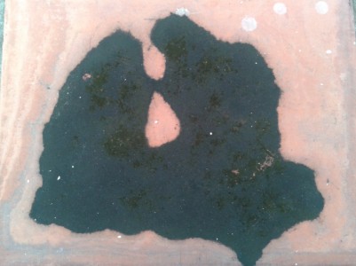 Pháp là mây bay…