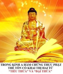 Trong kinh A Hàm chứng thực Đức Phật có khai thị hai từ 'Tiểu thừa' và 'Đại thừa'
