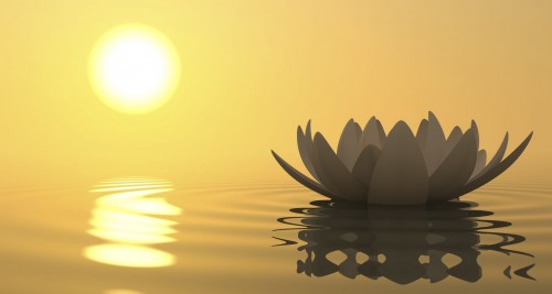 Phát triển căn lành