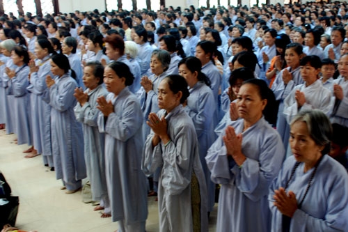 Người Phật tử chân chánh cần tu học như thế nào?