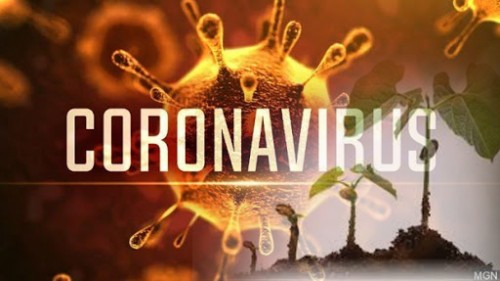 Phật tử đối trị dịch bệnh như thế nào