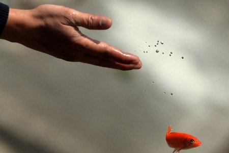 Phiếm đàm sớm mai 