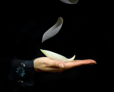 Thực tập quán niệm hơi thở để thấy được sự nhiệm mầu và những lợi lạc