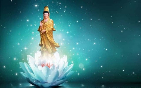 Kính lễ Bồ-tát Quan Âm nuôi lớn tâm từ bi và hạnh từ bi của chính mình