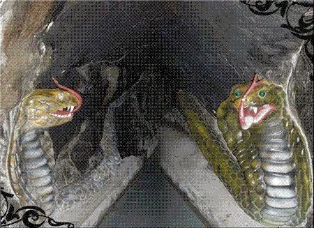 Hòa thượng Thích Thiền Tâm và cặp vợ chống rắn chúa tu hành