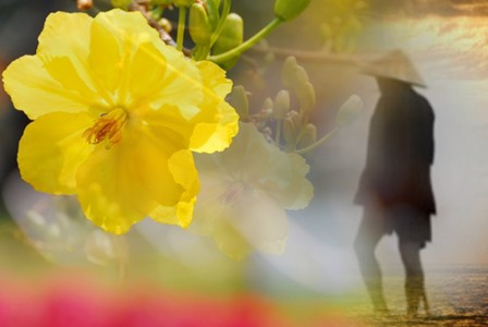 Những bài thơ hay của Nhà sư Thích Thiện Tuệ (Phần 1)