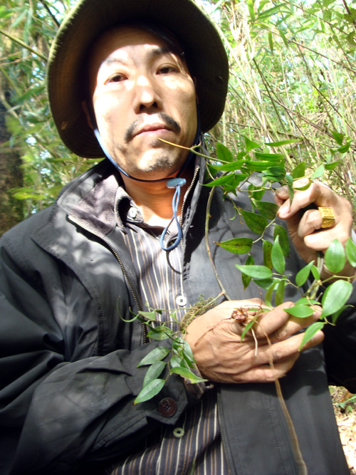 Đi tìm vị lương y giấu mặt chuyên giúp người nghèo trị bệnh đau dạ dày rất hay