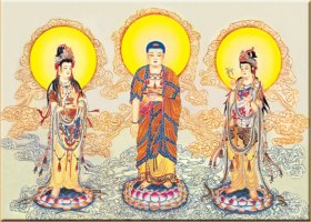 Con đường tu Tịnh độ