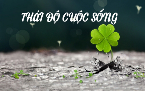 Thái độ cuộc sống  