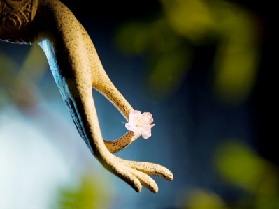 Tham muốn nhiều khổ đau nhiều