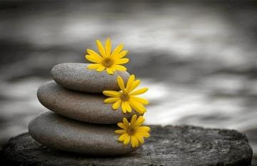 Thất bại lớn nhất của đời người là tự đại