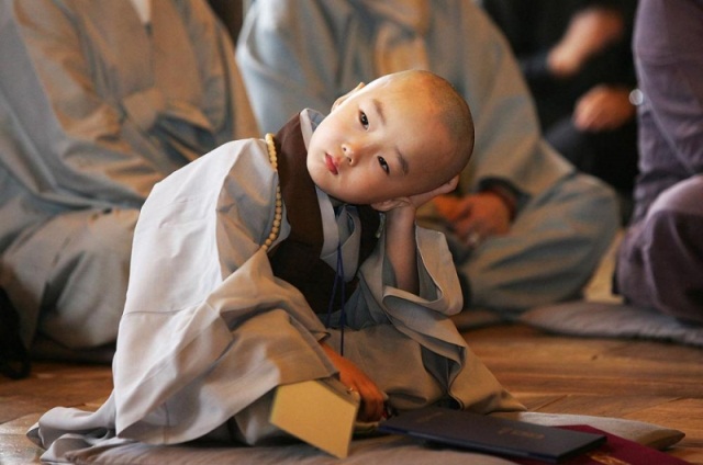 Học cách đối diện với thị phi trong cuộc sống 