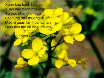 “Cáo tật thị chúng”- Một triết lý sống tinh hoa qua thơ thiền Mãn Giác