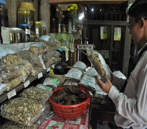  Nghịch lý về nguồn dược liệu ở Việt Nam: Nhập rác từ Trung Quốc về làm thuốc