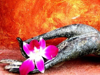 Thường xuyên quán chiếu sẽ biết cách buông xả tham sân si