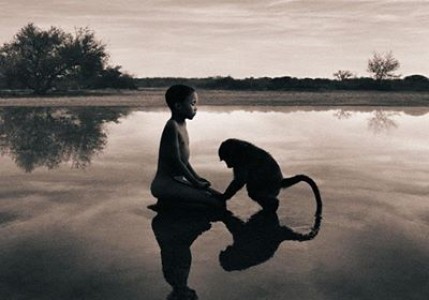 Tình thương và sự hóa giải