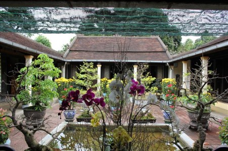 Thầy đến và đi như hương ngọc lan Tường Vân...