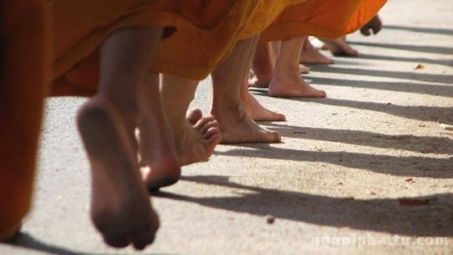 Bạn đọc mong ước chư Tăng, Ni Khất Sĩ trì bình khất thực trở lại