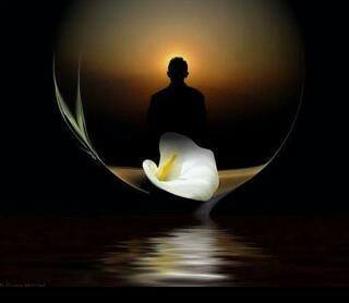 Trí tuệ là tối thượng