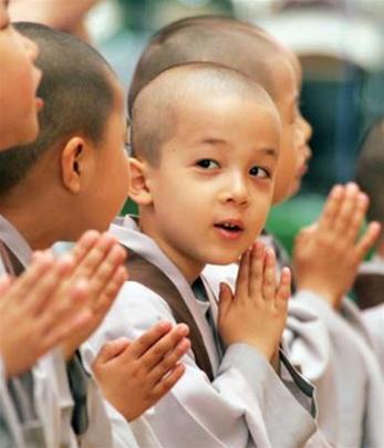 Tám căn cứ lười biếng của người tu