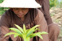 Tu trong lúc làm ruộng rẫy