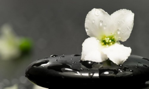 Tự tại giữa có và không