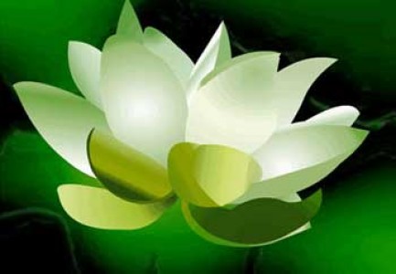 Công Đức và Phúc Đức