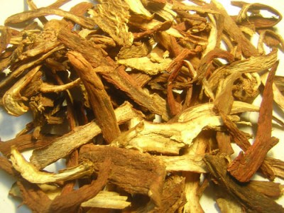 Bài thuốc cho người ung thư máu