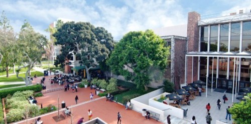 Những ngày về lại Cali